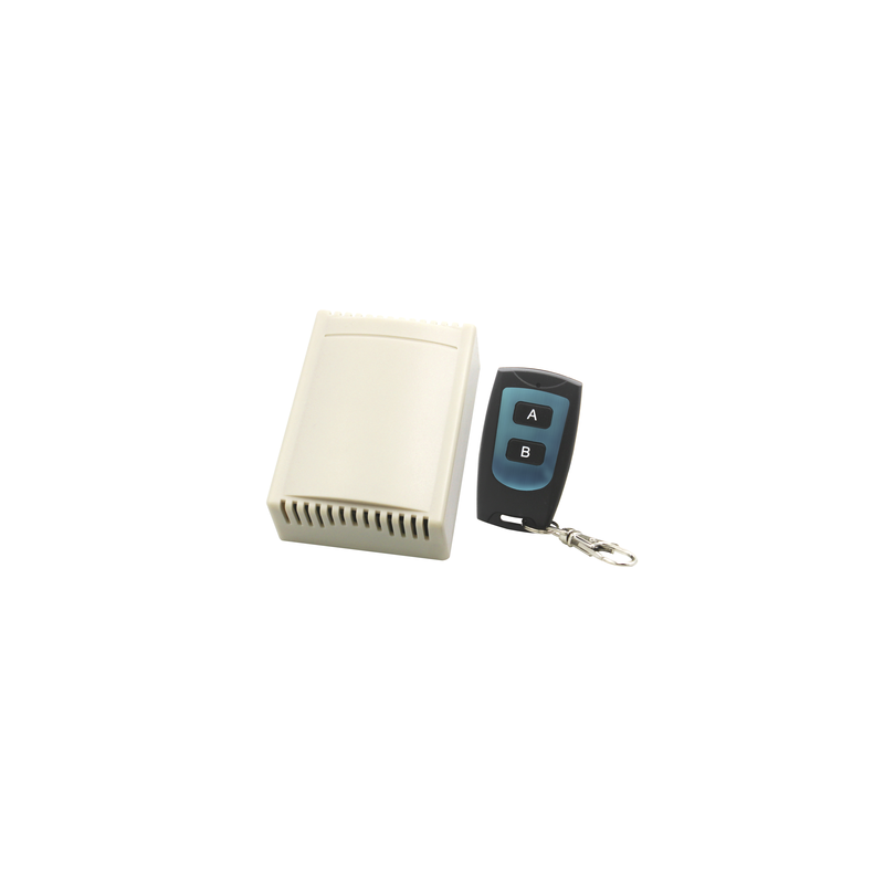 Receptor de 2 Canales con Control Remoto | Precio México - Envío Inmediato | LM Soluciones