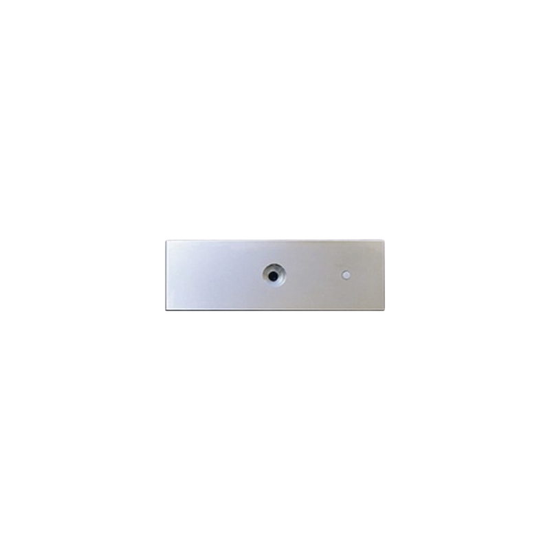 Refacción: Placa para chapa magnética MAG1200, MAG1200LED