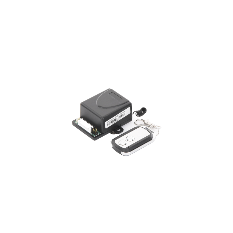 Receptor 2 Relevadores con Control Remoto - LM Soluciones