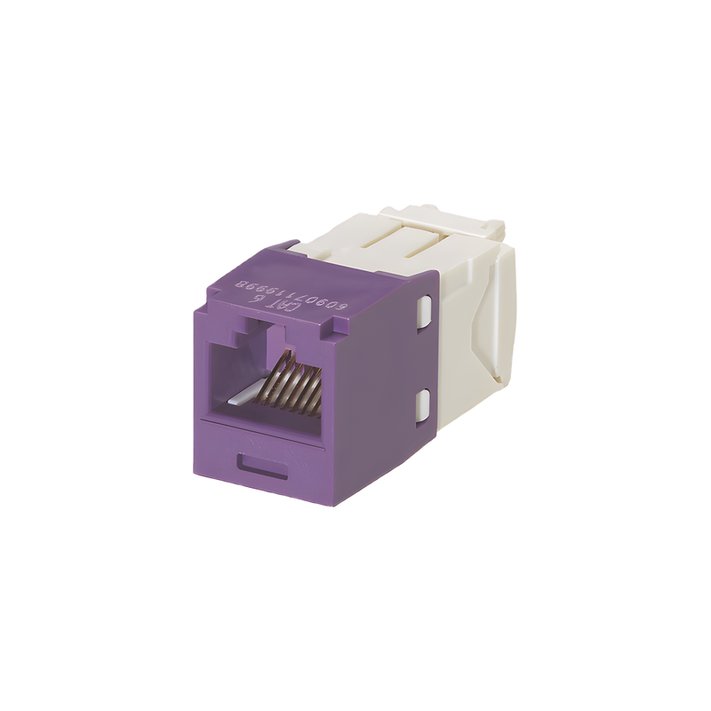 Conector Jack RJ45 Categoría 6 PANDUIT TG Violeta