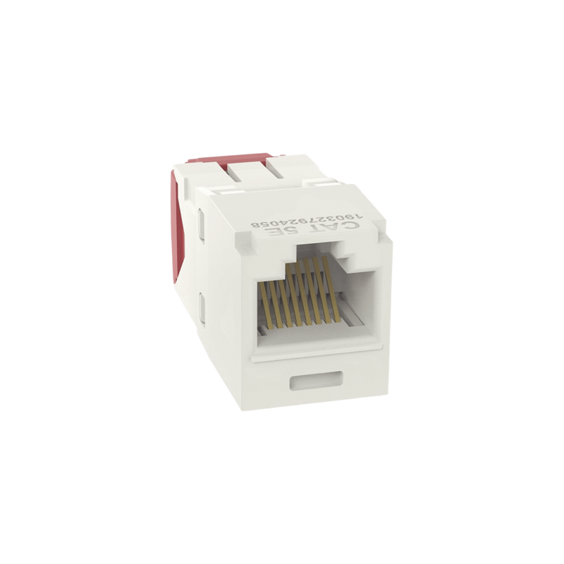 Conector Jack RJ45 PANDUIT TG Cat 5e Blanco Mate