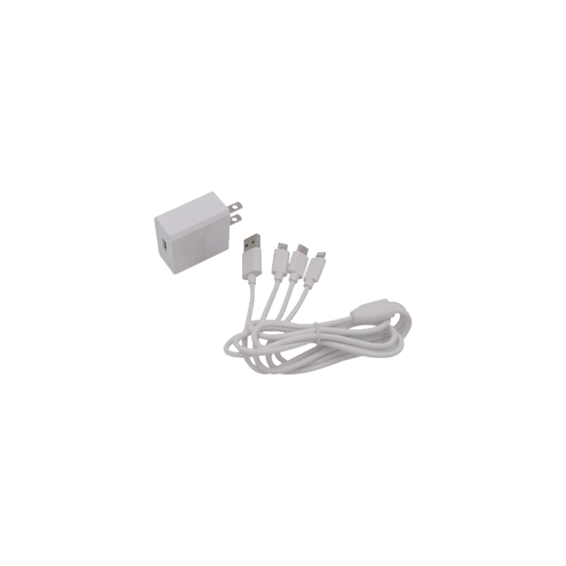 Cargador de Pared USB / 3 Puertos / Salida 5 Vcc 2 A / Cable Extensor 1.2 m (3.9 ft) / Entrada Universal 100-240 Vca / Multi-conector