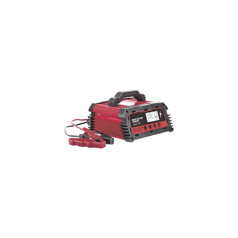 Cargador de Baterías / 12 o 24 Vcc / 25 A / Hasta 250 Ah / Display LCD / Entrada Universal AC 110-220 V