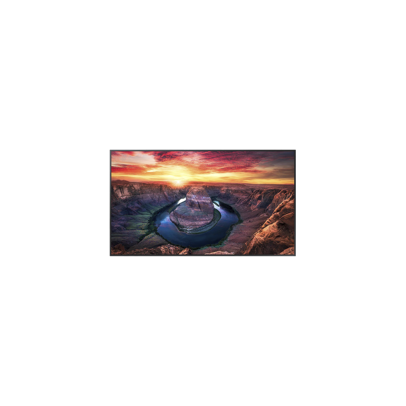 Pantalla Profesional LED / 55 Pulgadas / UHD 4K 3840x2160p / 500 Nits / Operación 24/7 / HDMI 2.0 y DisplayPort 1.2 / VESA 200x200 mm