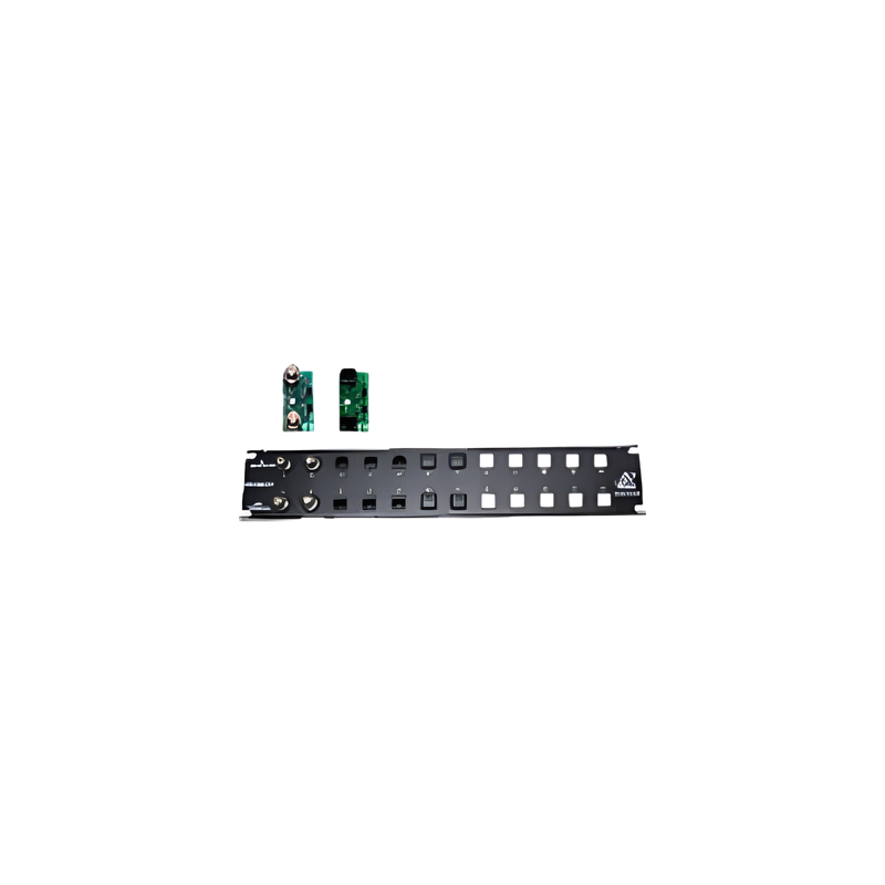 Placa frontal para 12 módulos con conexión BNC para instalaciones en rack ( No se incluyen los módulos )