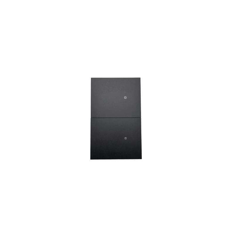 Apagador inalámbrico ZigBee 110-220V 2 GANG