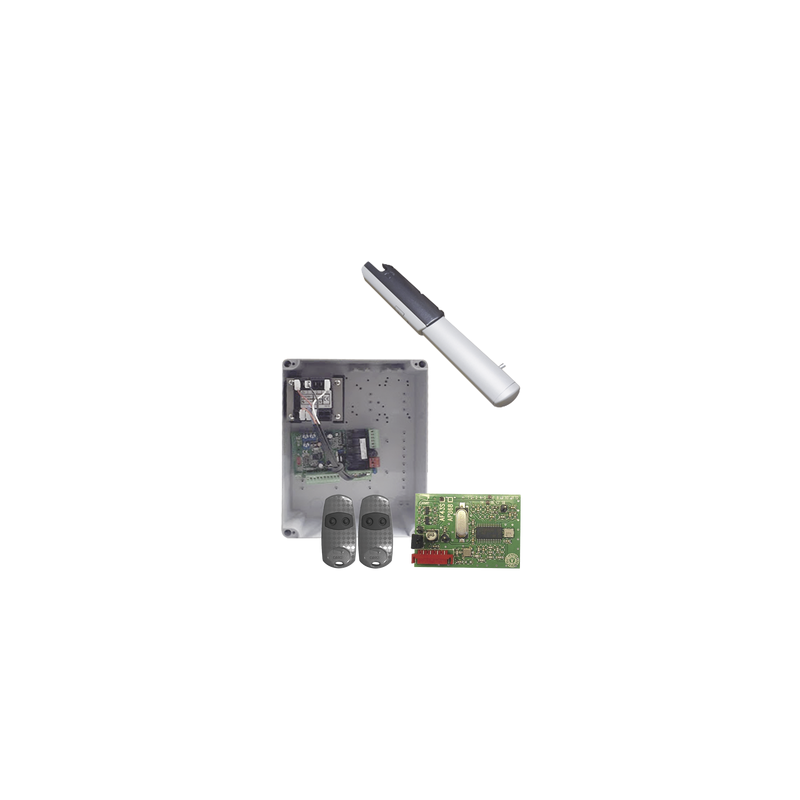 Kit Automatización Portones Abatibles CAME 3m 400kg | Precio México - Envío Inmediato | LM Soluciones