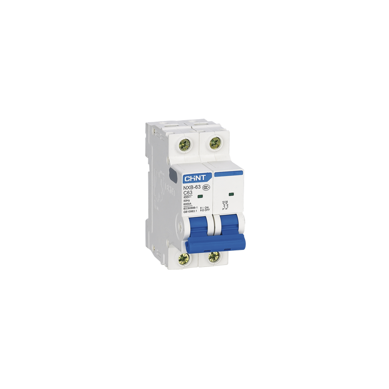 Pastilla Riel DIN 2 Polos 32A 6kA CHINT | LM Soluciones