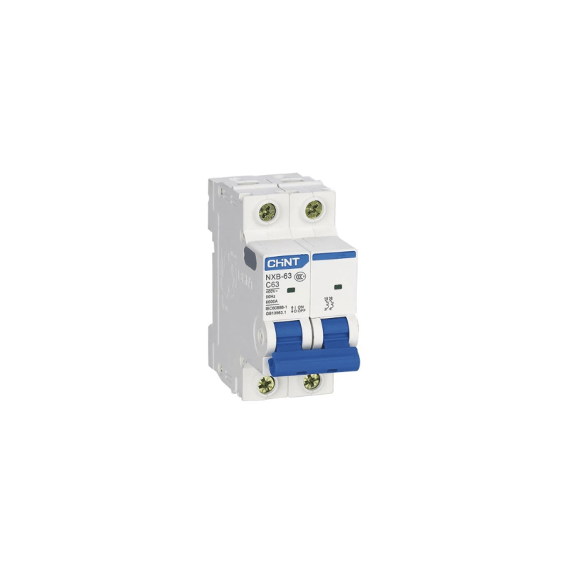 Pastilla Riel Din 2 Polos 40A 10kA CHINT NXB632PC40 | Precio México - Envío Inmediato | LM Soluciones