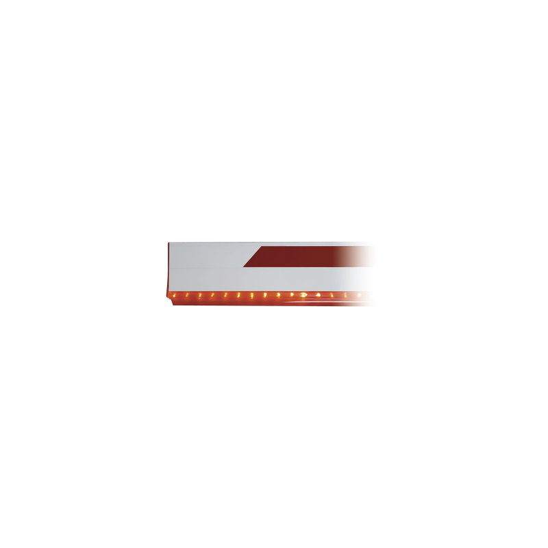 Manguera LED Roja 12m para Barreras FAAC | Precio México - Envío Inmediato | LM Soluciones