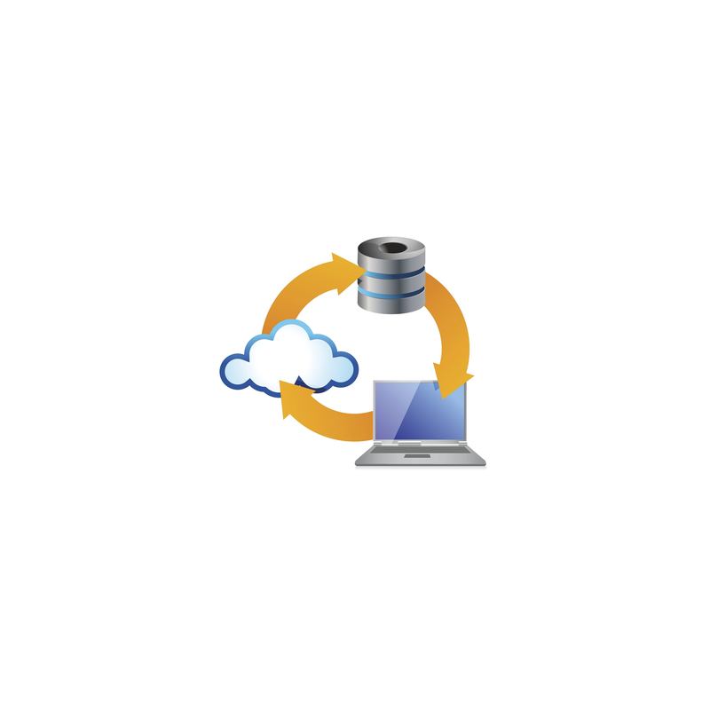 Licencia, Respaldo (base de datos)  tipo espejo de información para el software de monitoreo Securithor v2, versiones STPLUS, ST1V2 y STSV2.