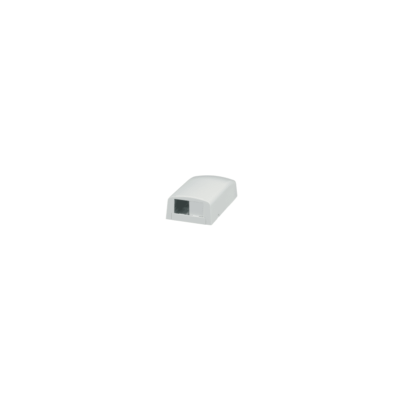 Caja de Montaje en Superficie Panduit 2 Módulos Blanco
