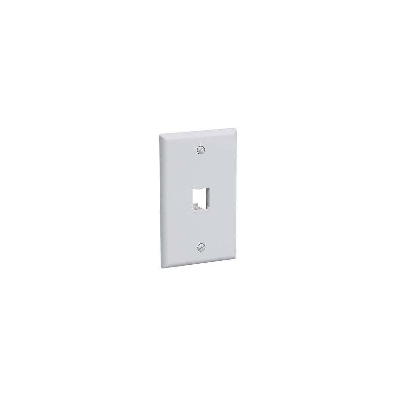 Placa de Pared Panduit 1 Puerto Mini-Com Blanca | Precio México - Envío Inmediato | LM Soluciones