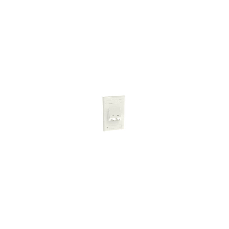 Placa de Pared Vertical Panduit 2 Puertos Mini-Com Blanco
