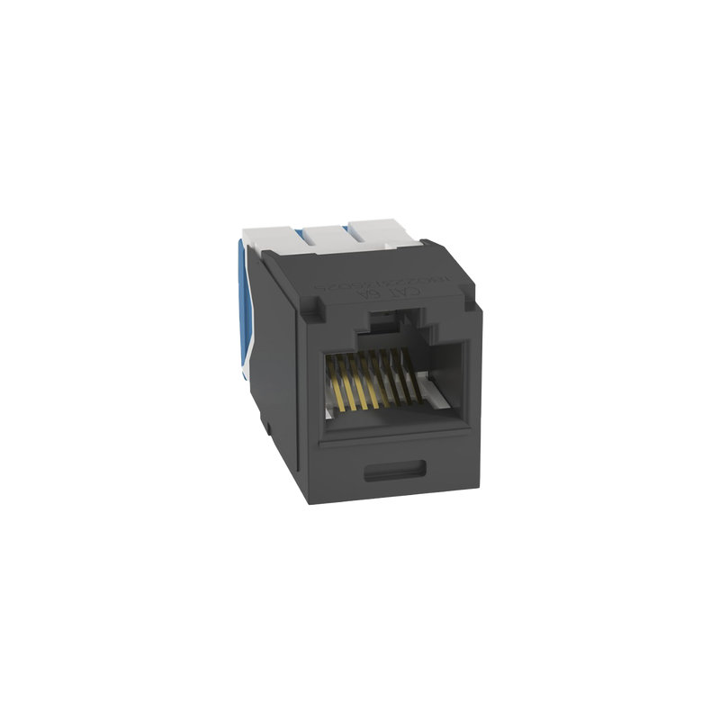 Conector Jack RJ45 TG Panduit Categoría 6A Negro | Precio México - Envío Inmediato | LM Soluciones