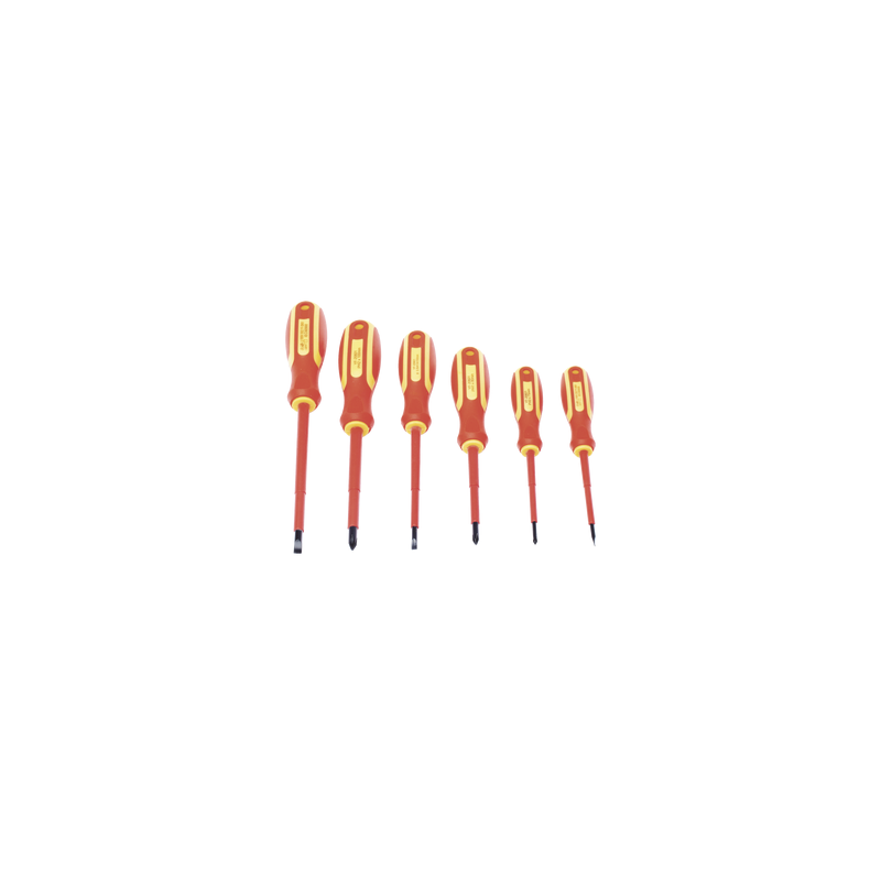 Juego de 6 desarmadores Aislados Bicolor 1000V PRECISION