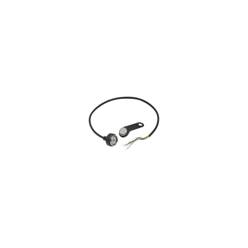 Kit Lector y Llave I-Button Ruptela | LM Soluciones