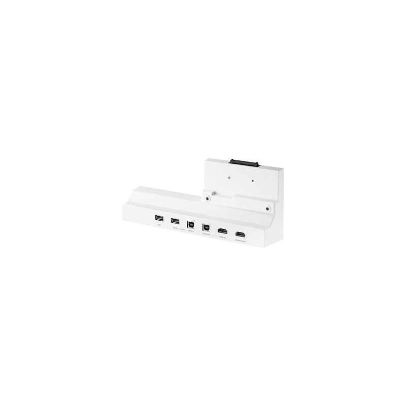 Interface Frontal Conectividad Multimedia FLIP2 Samsung WM55