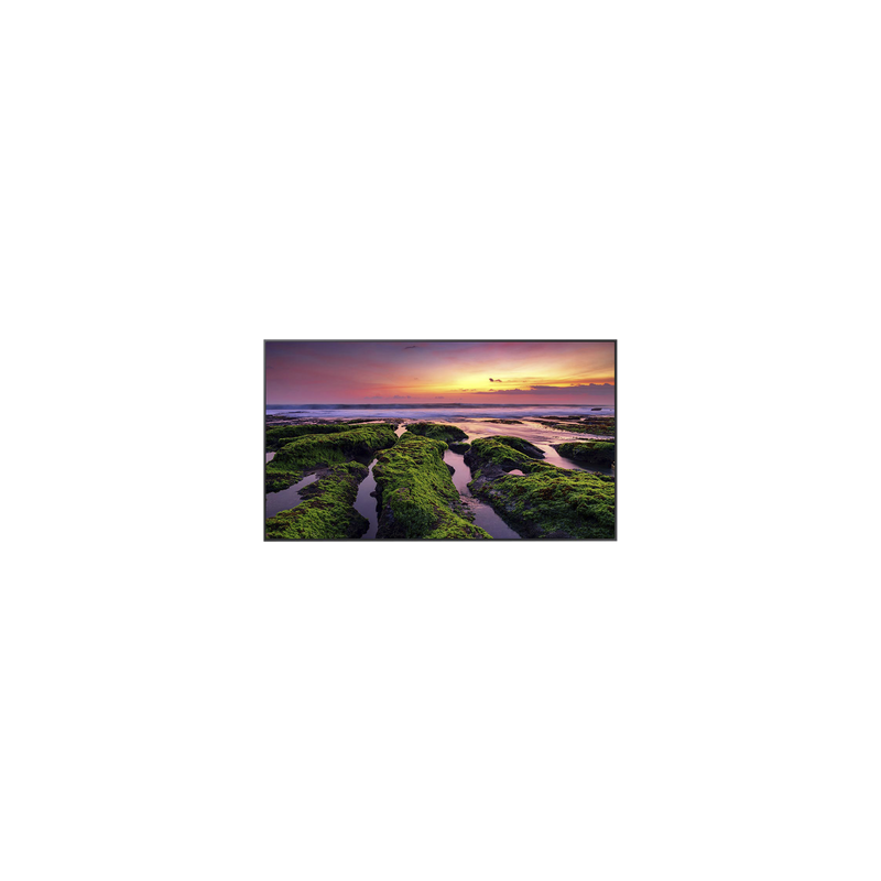 Pantalla 65