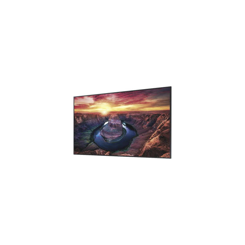 Pantalla Profesional LED 32