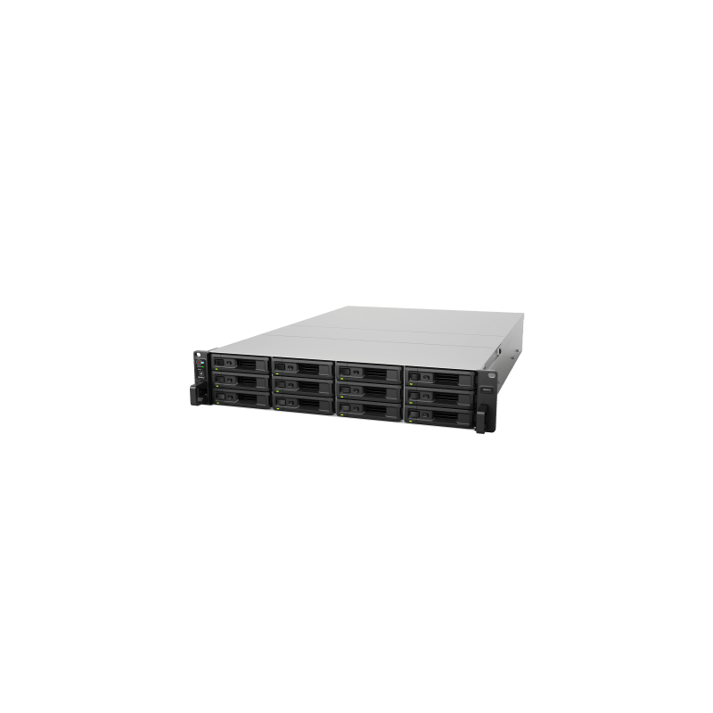 Servidor Synology SA3410 12 Bahías hasta 96 Bahías 1.728PB | Precio México - Envío Inmediato | LM Soluciones