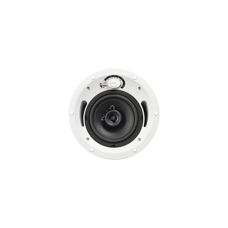 Altavoz Comercial TruAudio 6.5