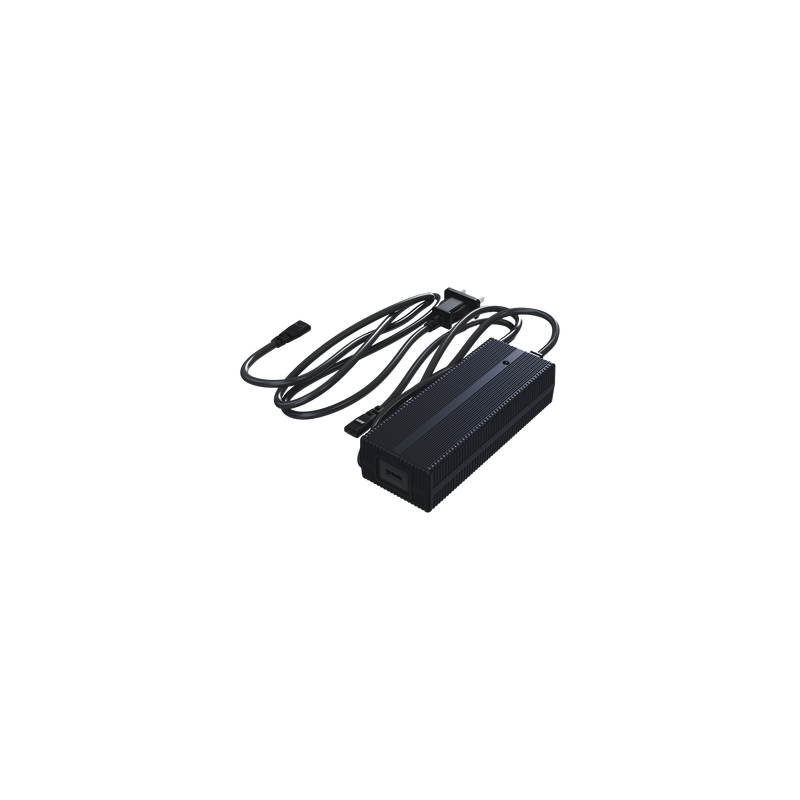 Cargador Rápido Go2 / 302.4W / Entrada 100-240V~50/60Hz / Salida 33.6V 9.0A / Carga Rápida en 0.8 Horas / Compatible con Baterías Estándar y de Larga Duración