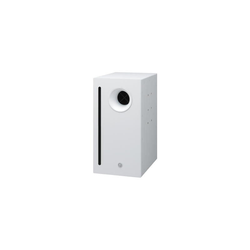 Subwoofer de Superficie 10