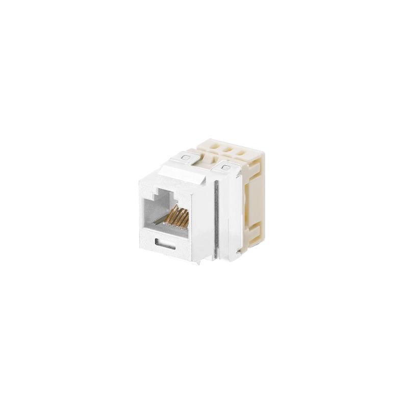 Conector Keystone Cat5e Blanco Mate Panduit Jack 110 | Precio México - Envío Inmediato | LM Soluciones